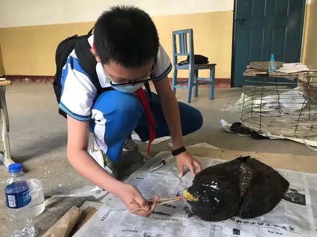 776net必赢官网